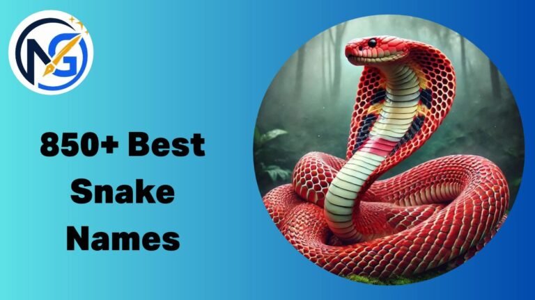 Snake Names