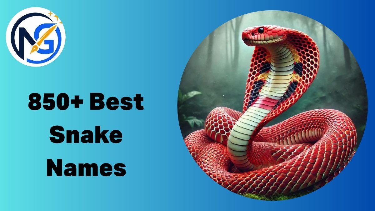 Snake Names